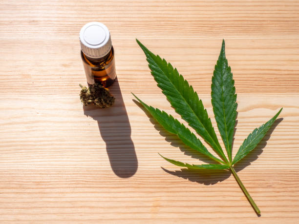 Cannabis leaf and CBD oil stock photo