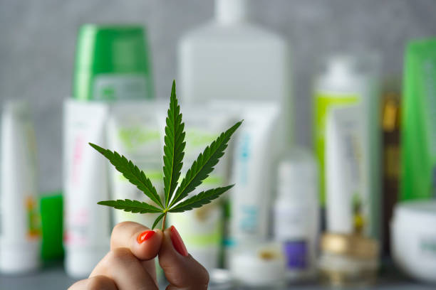 Cannabis leaf in a female hand on a background with various hemp-based cosmetics. stock photo
