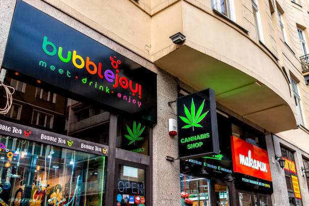 best weed dispensary in denver