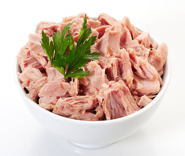 Canned tuna chunks stock photo