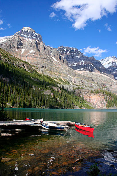 Canoes at the dock on Lake O'Hara with mountains behind. stock photo