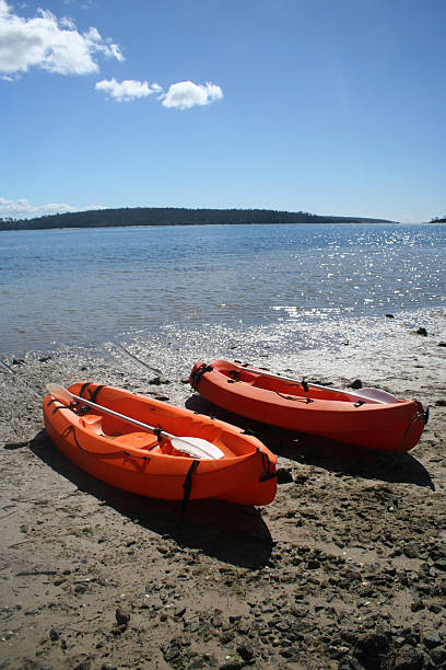 Canoes on shore stock photo