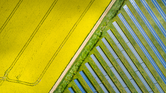 Canola fields and solar power plant in springtime - aerial view