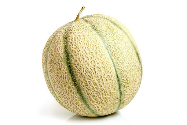 Cantaloupe melon Cantaloupe melon on a white background torpedo weapon stock pictures, royalty-free photos & images