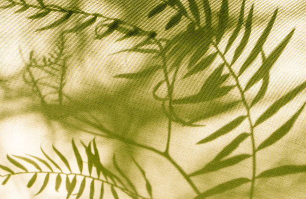 Canvas leaf pattern background stock photo