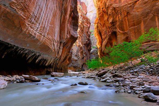 Canyoneering In Zions National  Park stock photo