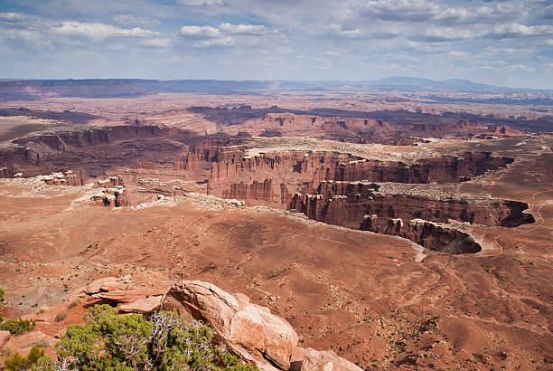 Canyonlands from Grand View Overlook Over time, the relentless forces of water and gravity have created a vast landscape of canyons and cliffs in what is now Canyonlands National Park. Rainwater seeps into the porous sandstone and freezes in the winter. During the monsoon rains, sudden thunderstorms release torrents of water that carry sandstone particles into the rivers below, helping to scour the canyons. From above you get a clear picture of this vast network of canyons. This picture was taken from Grand View Point in Canyonlands National Park near Moab, Utah, USA. jeff goulden canyonlands national park stock pictures, royalty-free photos & images