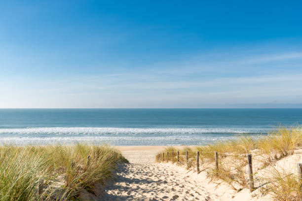 cap ferret (bassin d'arcachon, frankrijk), la plage des dunes - atlantische oceaan stockfoto's en -beelden