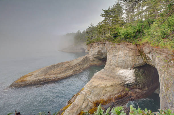 Cap Flattery The rocky coast of cape flattery olympic national park stock pictures, royalty-free photos & images