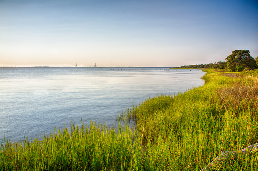 Cape Fear River Stock Photo - Download Image Now - iStock
