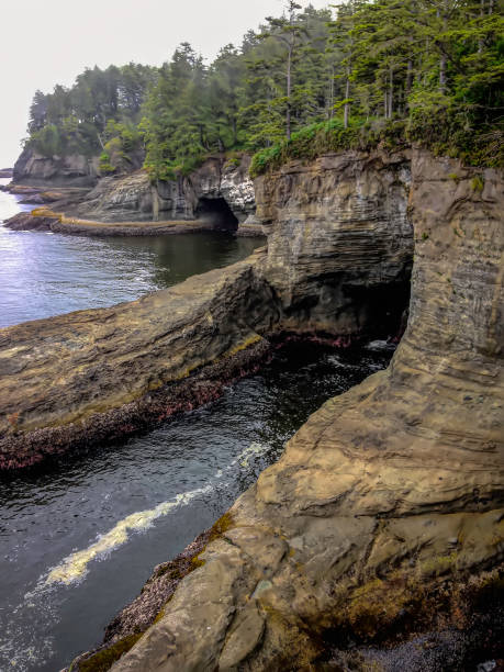 Cape Flattery Rocky cliffs on Pacific coast from Cape Flattery. neah bay stock pictures, royalty-free photos & images