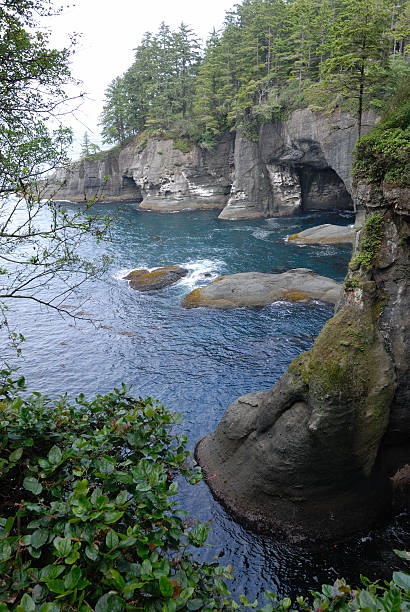 Cape Flattery  Cape Flattery at Neah Bay near Olympic National Park neah bay stock pictures, royalty-free photos & images