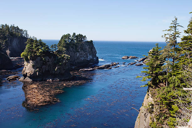 Cape Flattery "Cape Flattery coastline in Neah Bay,Washington." neah bay stock pictures, royalty-free photos & images