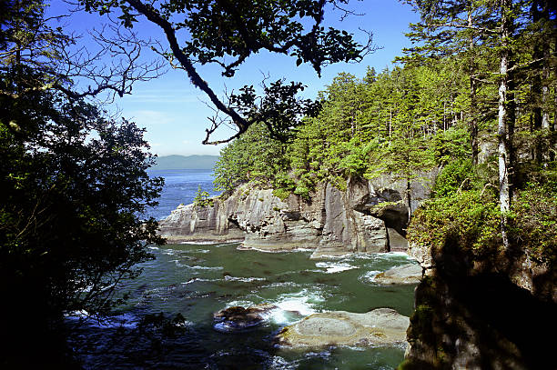 Cape Flattery  neah bay stock pictures, royalty-free photos & images