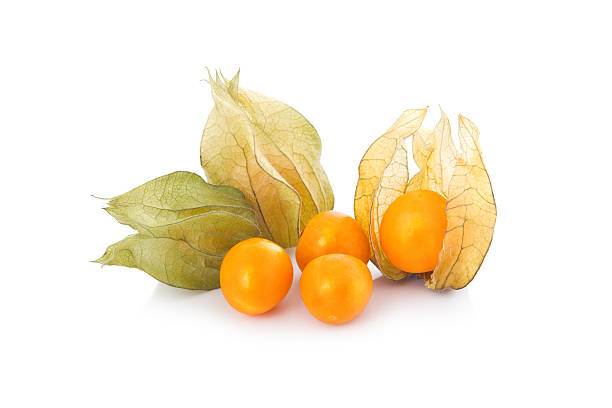 Cape gooseberries with their pods Cape gooseberry (physalis) isolated on white background chinese lantern stock pictures, royalty-free photos & images