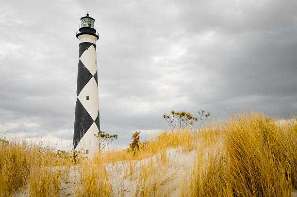 wild horses outer banks wiki wild horses outer banks wiki