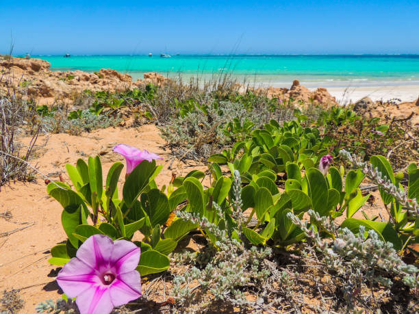 Cape Range National Park on the coast of Exmouth in Western Australia stock photo