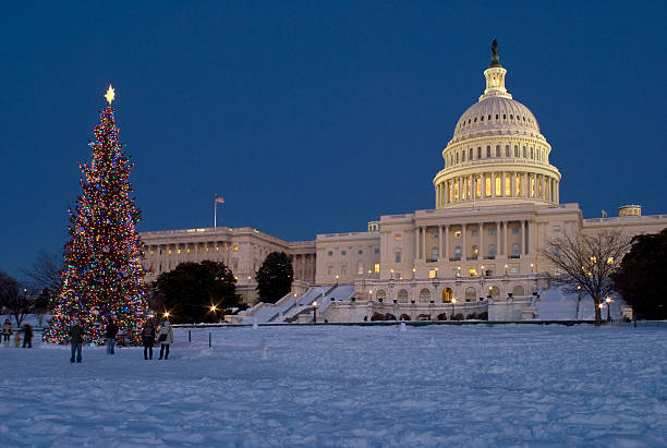 Capitol Christmas Tree stock photo