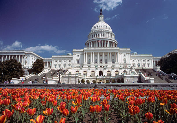 U.S. Capitol in the Spring stock photo