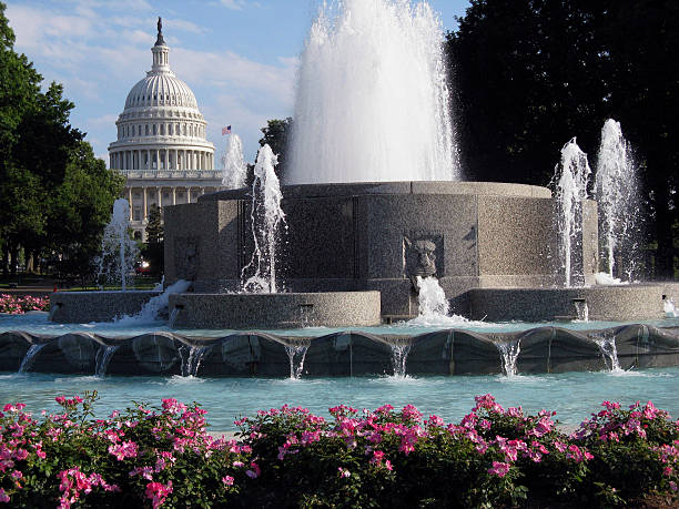 US Capitol in the Spring stock photo