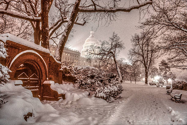US Capitol in winter stock photo