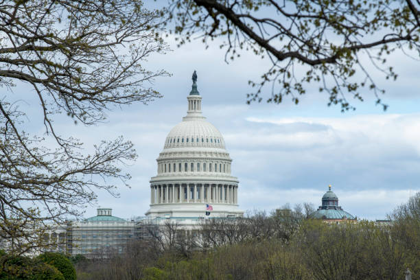 US Capitol stock photo