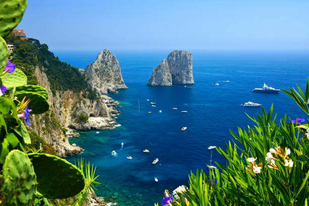 Capri coast with Faraglioni rocks, flowers and boats, Italy stock photo