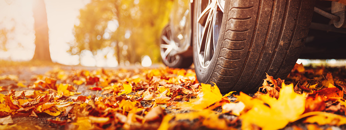 Car on asphalt road on autumn day at park. Colored leaves are lying under the wheels of the vehicle.