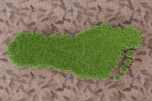 Carbon Footprint Concept With Human Footprint Symbol Made Of Green Grass