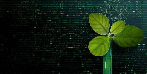 Carbon Nautral, ESG Concepts. Green Leaf inside a Computer Circuit Board. Growth. Environmental, Business and Technology Growth Together. Sustainable Resources