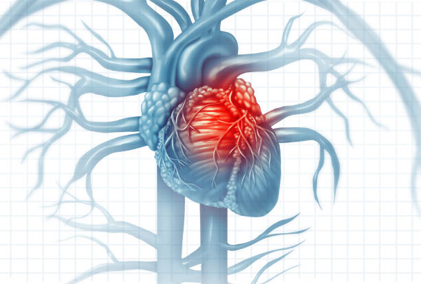 17,432 Heart Disease Stock Photos, Pictures & Royalty-Free Images - iStock