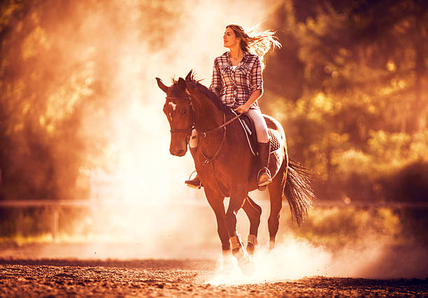 carefree woman riding a stallion at sunset. - smiling earth horse bildbanksfoton och bilder