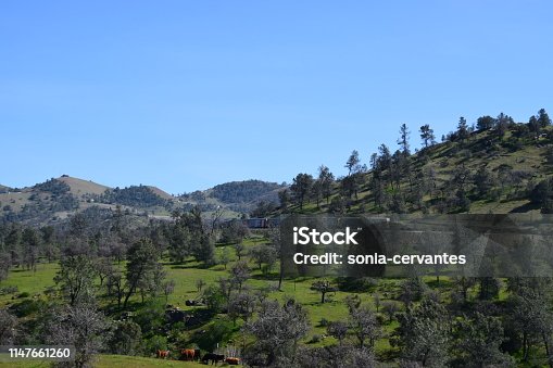 istock Cargo train moving up the mountain. 1147661260