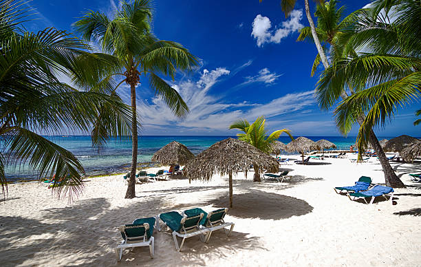 Caribbean Beach stock photo