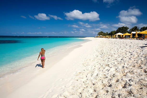 Caribbean Paradise stock photo