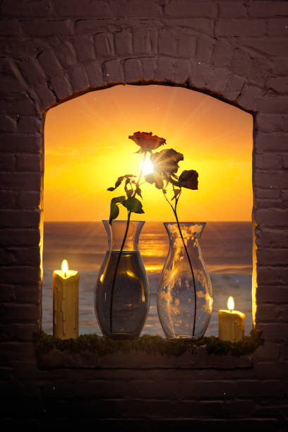 Caring Love Concept, Alive and dying rose in vases at sunset, 3d Illustration stock photo
