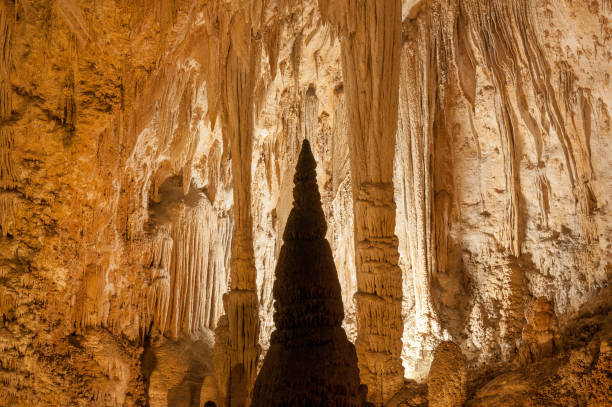 nationalpark carlsbad caverns - tropfsteinhöhle stalagmiten stock-fotos und bilder