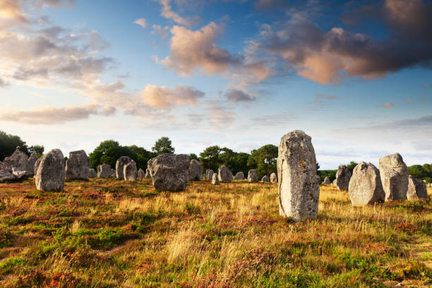 Carnac at Sunset, Brittany, France Some of the 3000 standing stones at Carnac, Brittany, France. It is believed that these stones were placed in position around 5000 years ago. megalith stock pictures, royalty-free photos & images