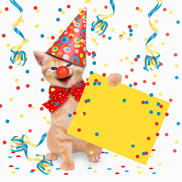 Carnival Party, cats, hangover Carnival Party, cats, hangover, two cats celebrate Carnival happy birthday cat stock pictures, royalty-free photos & images
