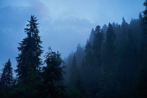 Carpathian Mountains stock photo