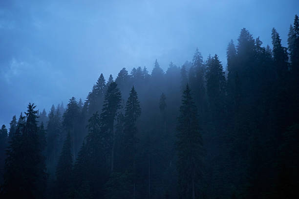 Carpathian Mountains stock photo