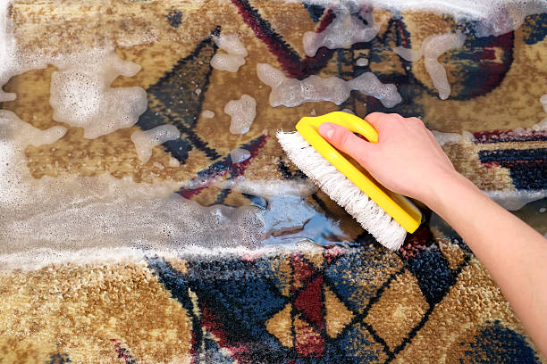 Carpet cleaning. stock photo