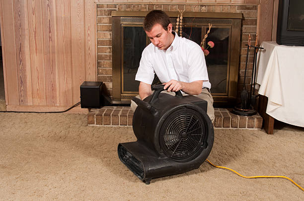 Carpet Cleaning Worker stock photo
