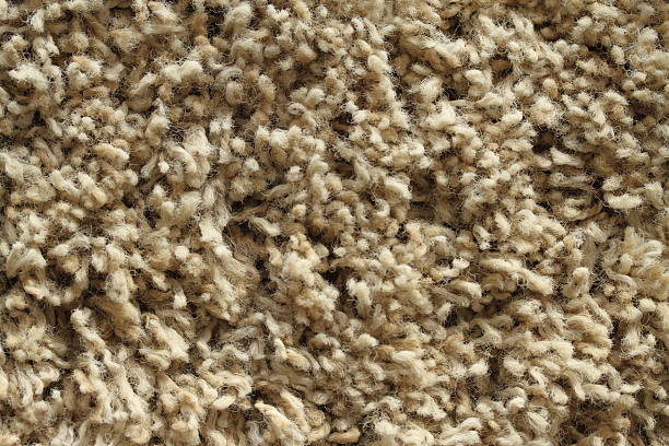 Carpet stock photo
