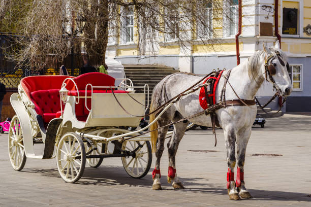Carriage with a horse on a city street in spring stock photo