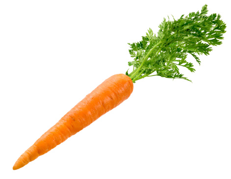  A single stalk of carrot with green leaves.  The image is shown at an angle, and is in full focus from front to back.  The carrot is a orange-colored root eaten as a vegetable.  It is considered a healthy food and is full of vitamins.  It also serves as an ingredient in many recipes.