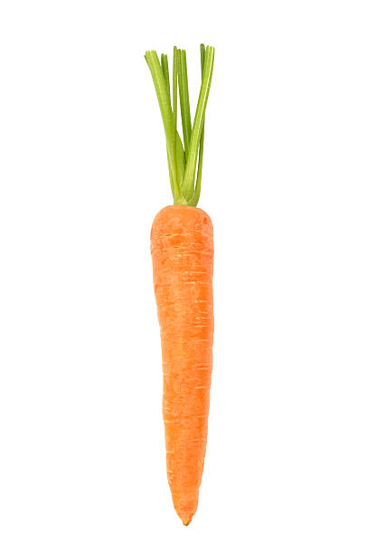 Carrot on White stock photo