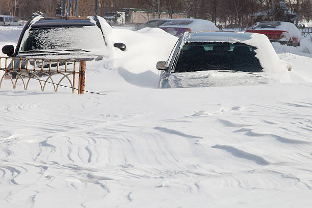 Cars covered in snow after a blizzard