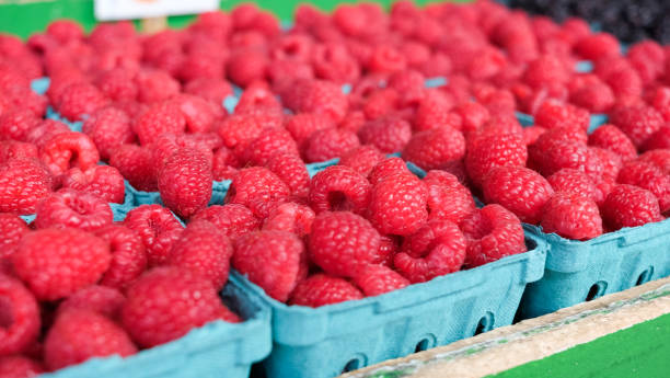 Cartons of Fresh Organic Rasberries stock photo