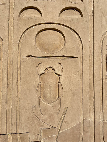 Carved relief of the Scarabaeus sacer on the wall of the Karnak.